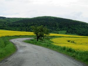 Eastern Slovakia ancestry tour - Beskids mountains