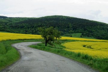 Eastern Slovakia ancestry tour - Beskids mountains